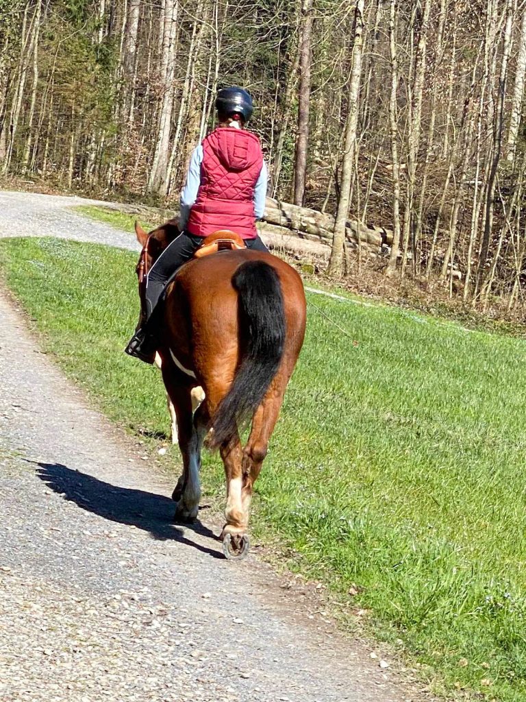 Reiterin im roten Gilet reitet auf braunem Pferd gemütlich einen Waldweg entlang.