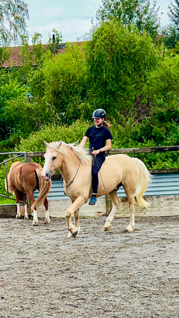 Reiterin reitet mit Helm und ohne Sattel auf hellem Pferd im Aussenreitplatz.