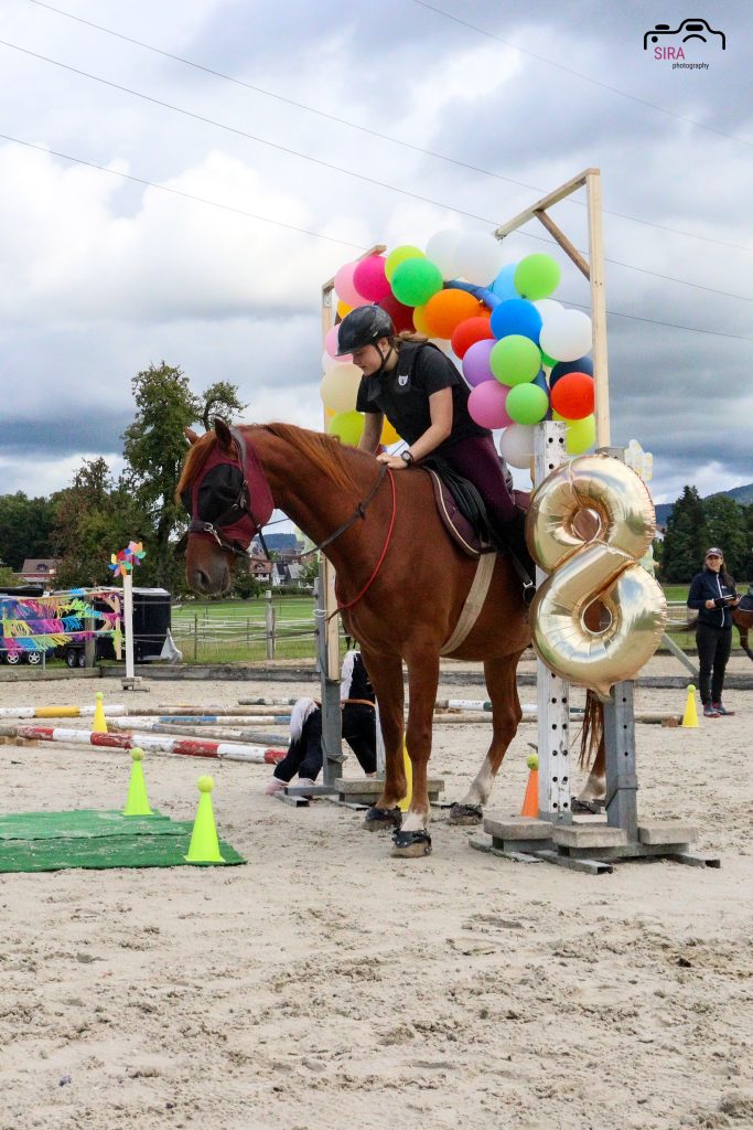Reiterin und Pferd unter einem Ballontorbogen.